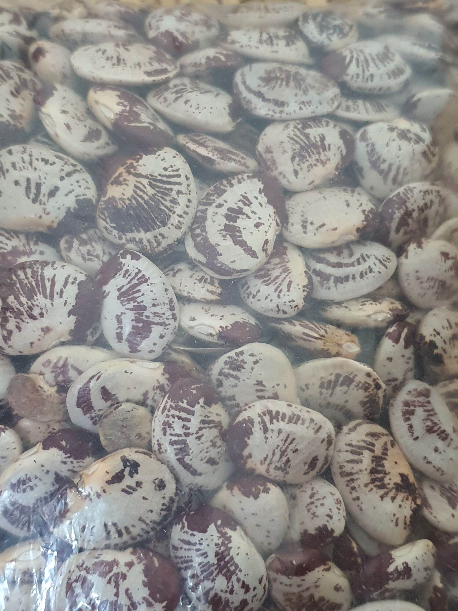 Đậu ngự