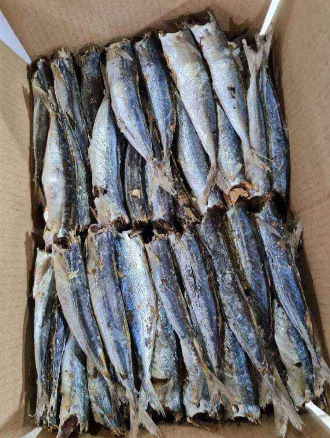 Cá nục khô 1 nắng. 1 bịch 500gr. đặc sản phan rang