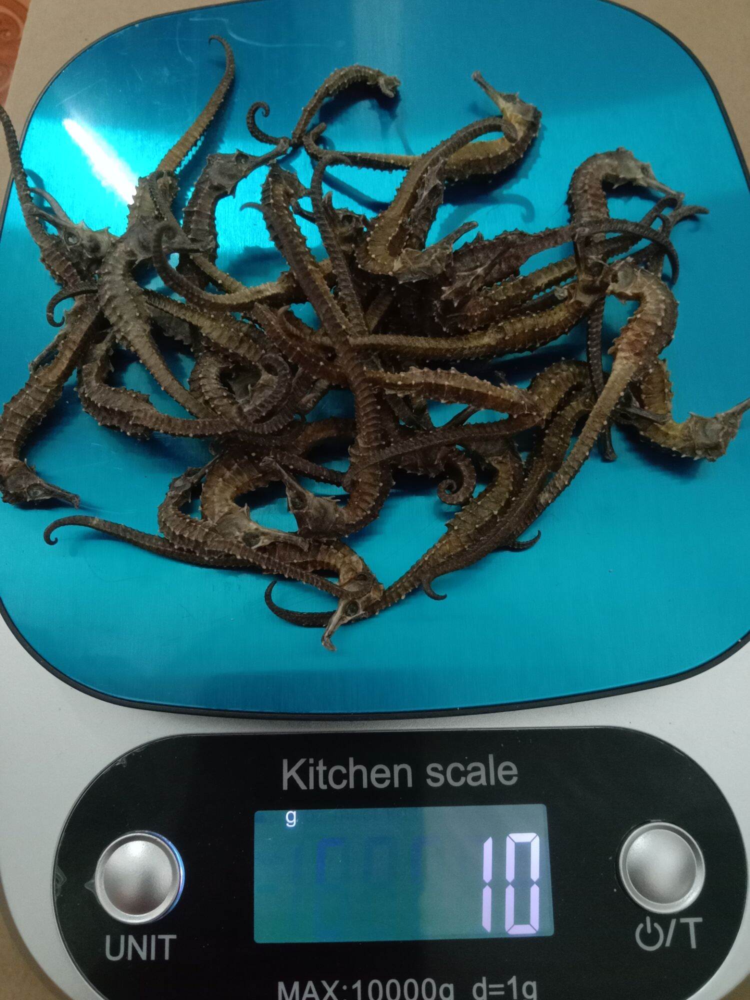 10g cá ngựa nhỏ tầm 30 con mini