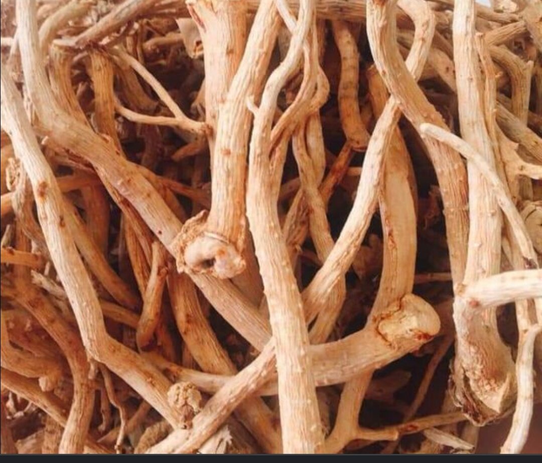 Rễ đinh lăng khô 1 kg