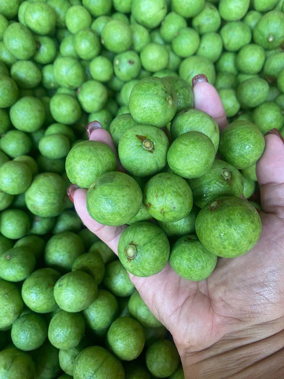 Sấu xanh còn vỏ Hà Nội (1kg) - Hoả tốc 2h TPHCM