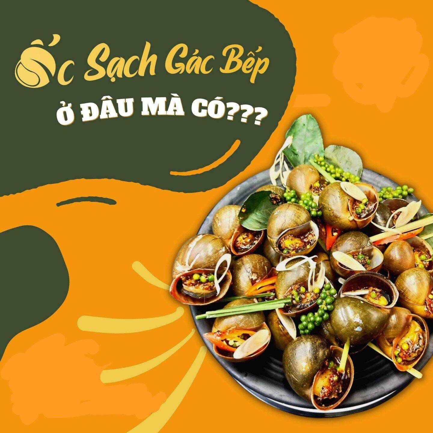 Ốc gác bếp siêu ngon 1 kg