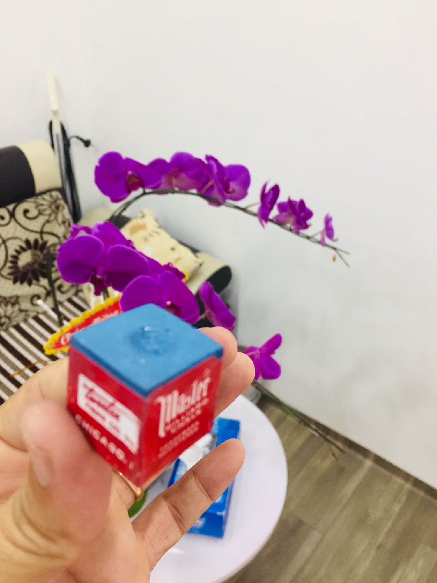 Lơ bida master (tem bạc) 360k/hộp/144 viên!