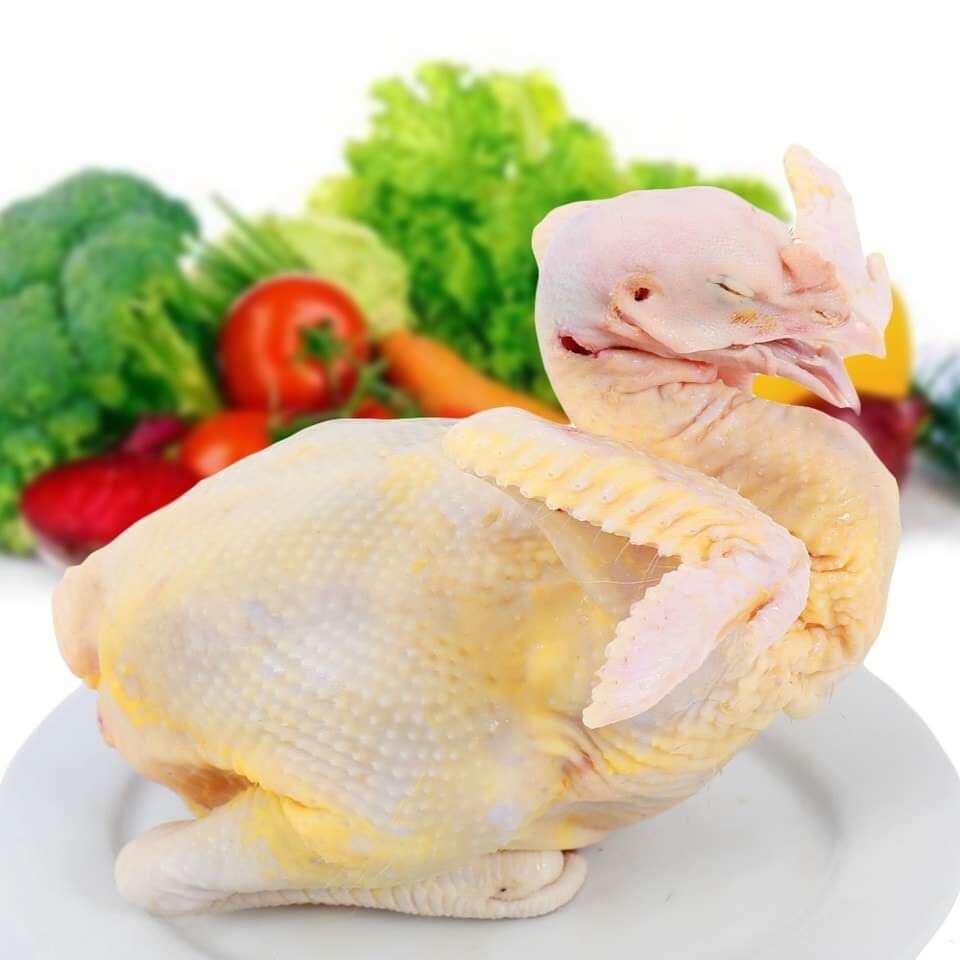 Gà thả vườn nguyên con 💯từ 1,4kg - 2,2kg - giao trong ngày kv HCM và có hỗ trợ ship