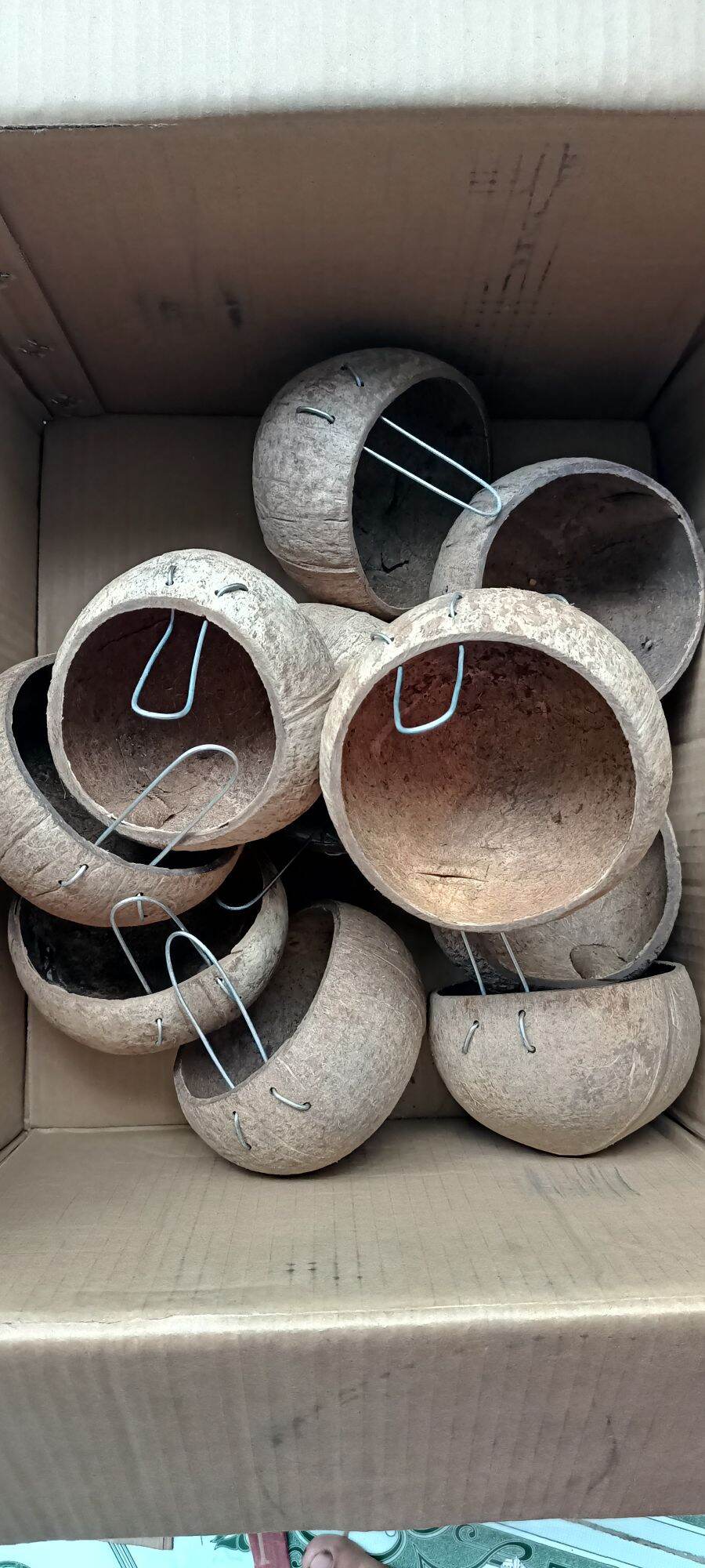 Combo of 10 Coconut Shells for Chickens and Ducks to Eat and Drink Water