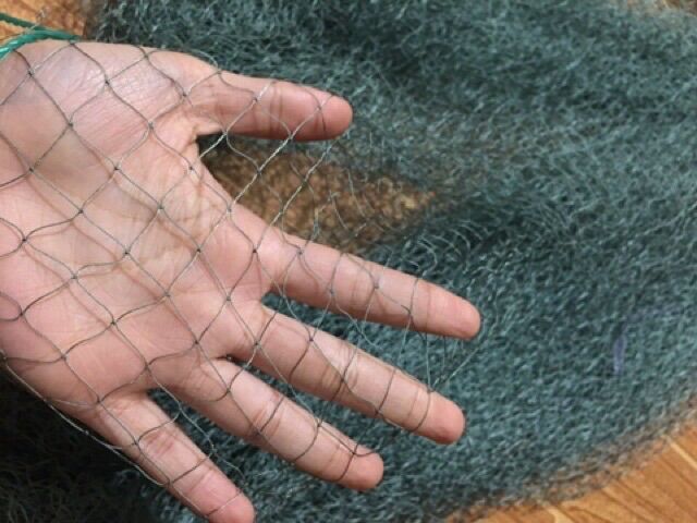 Lưới chim dù giật úp ( rẻ vô địch)