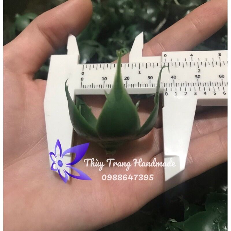 10 đài hoa hồng nhựa