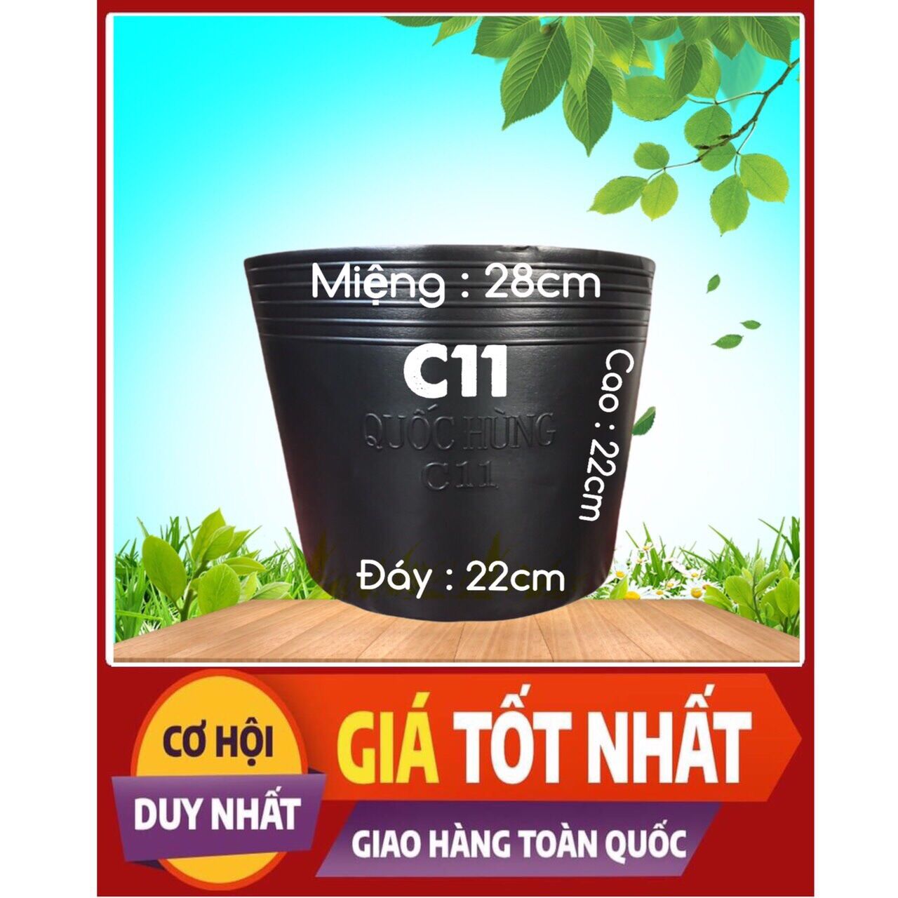 Combo 50 chậu nhựa trồng cây C11