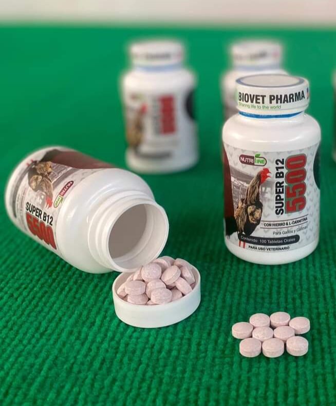 Super b12-5500 hừng gà tốt cho gà