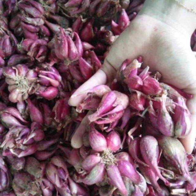 1KG Hành tím khô Phan Rang