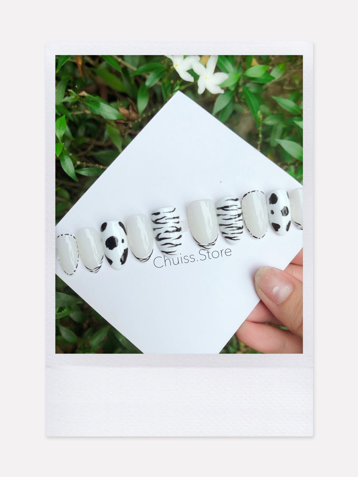 Nail box thiết kế trắng đen