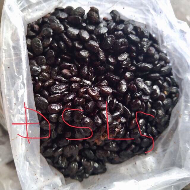 1kg hạt xì tàu kho thịt loại 1