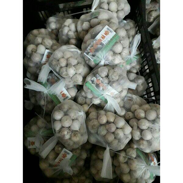 1kg tỏi cô đơn