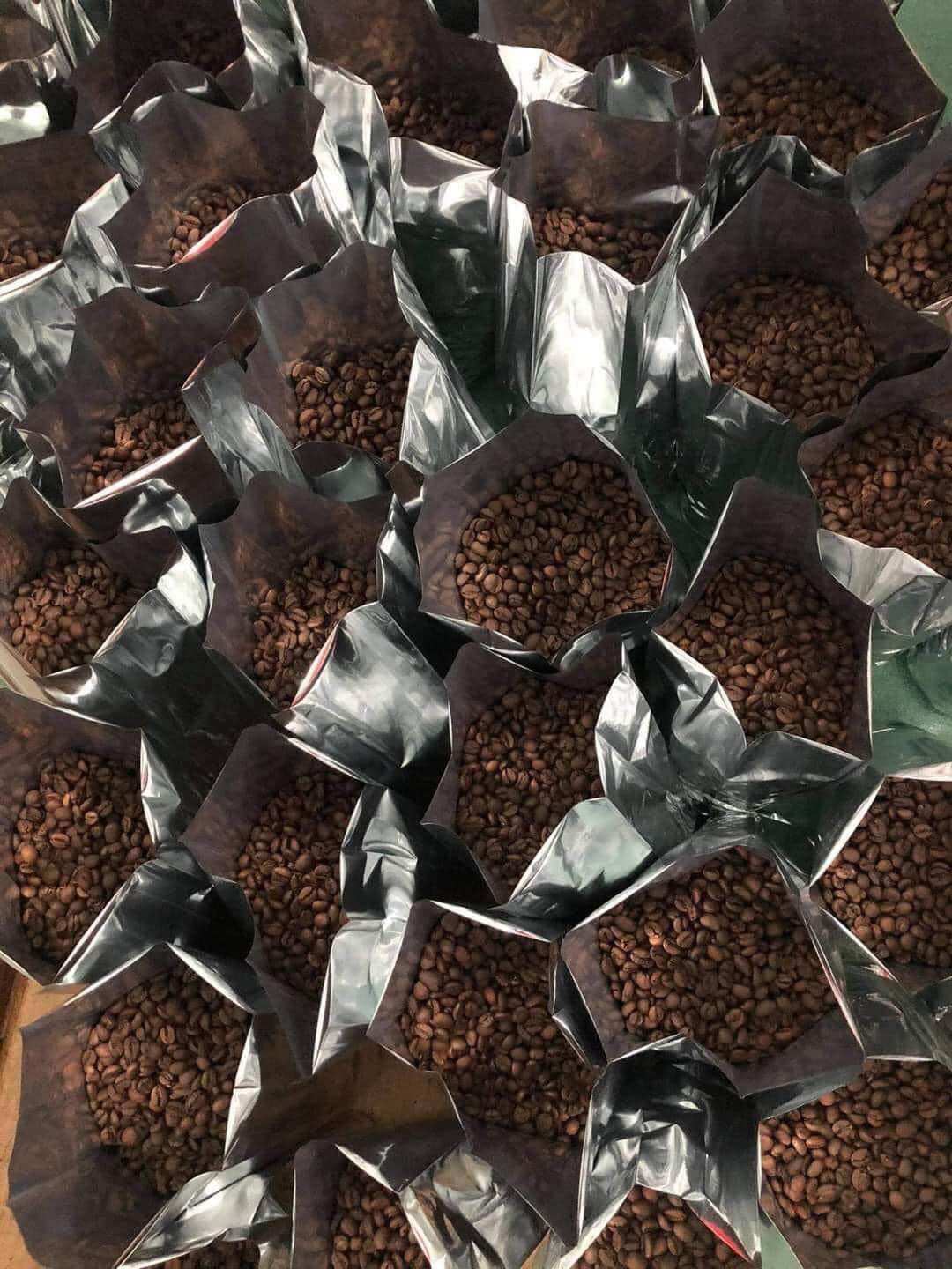 Cà phê hạt robusta nguyên chất rang mộc gói 500g