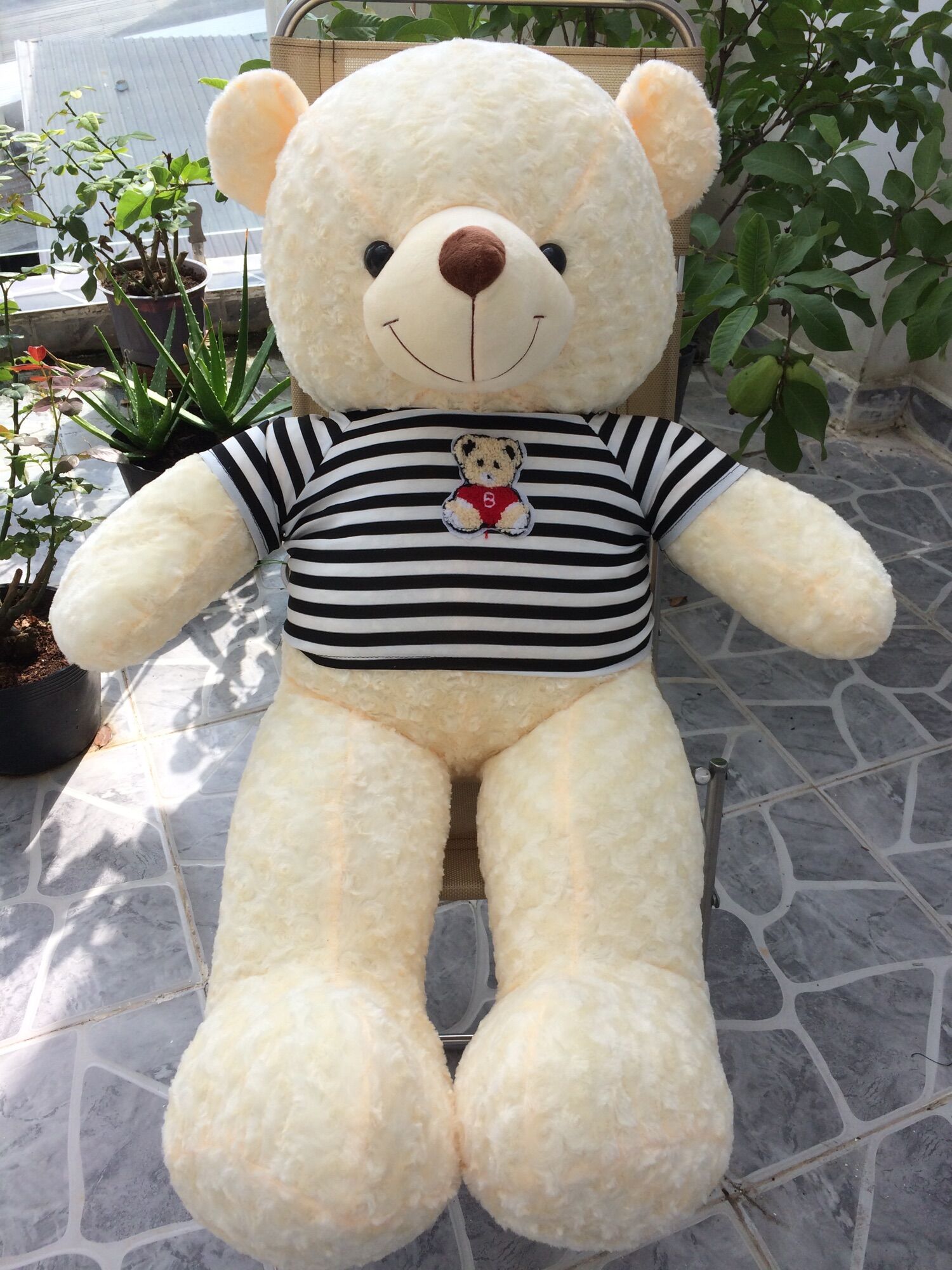 GẤU BÔNG TEDDY KHỔ VẢI 1M2