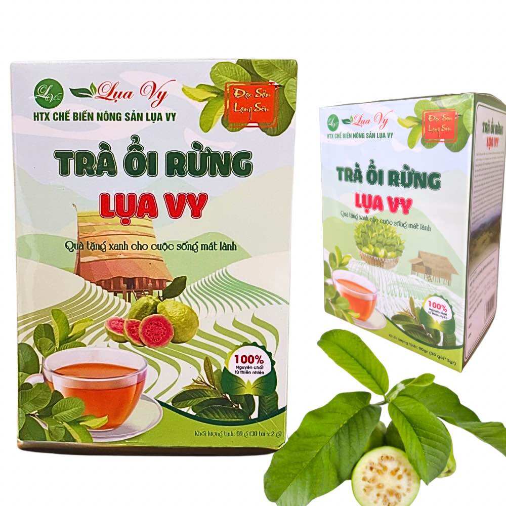 Trà Ổi Lụa Vy- Trà giảm cân an toàn hiệu quả