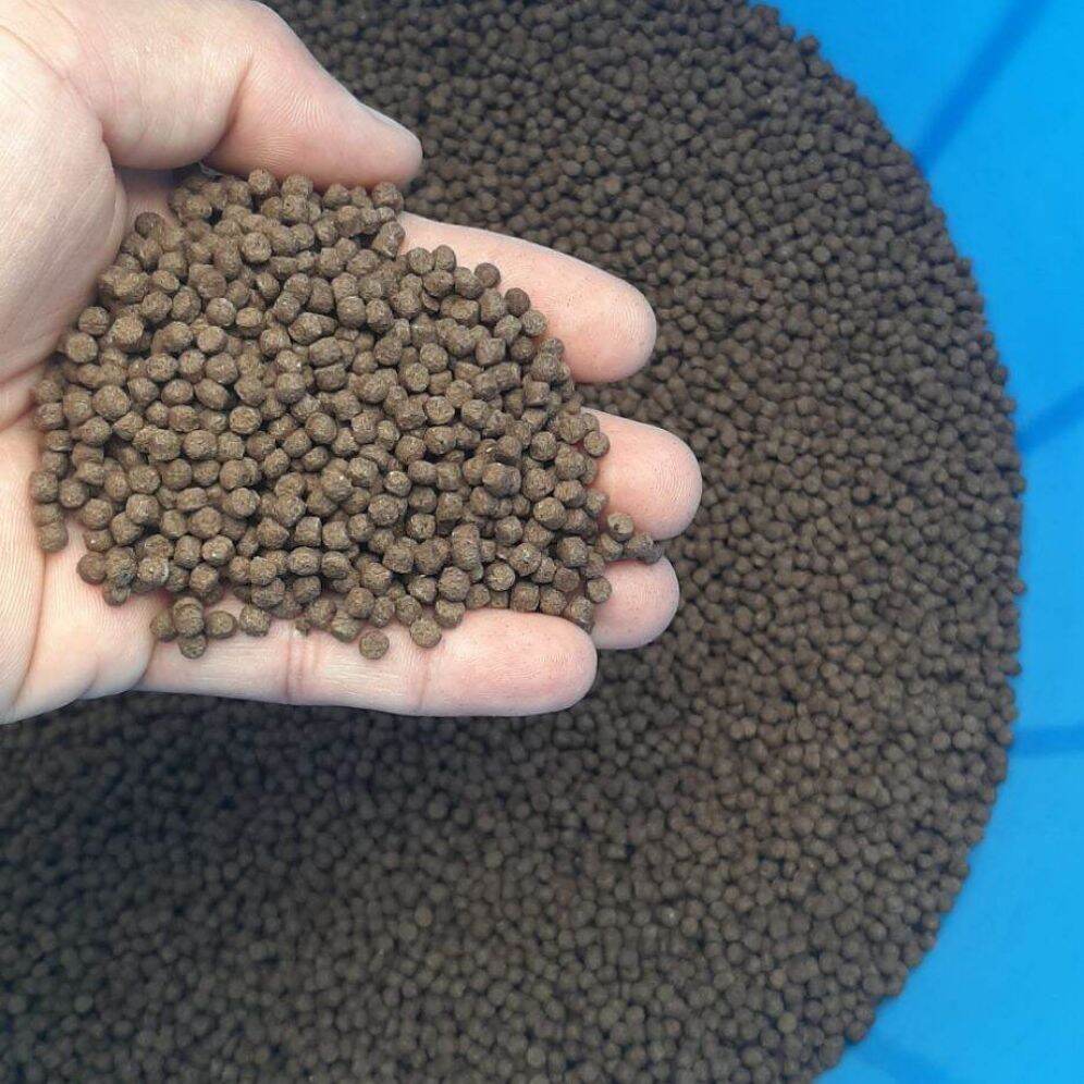 5kg Thức ăn cá koi , beta , 3 đuôi.... viên 3ly. tặng kèm 1 hủ muối tây ninh 100g.