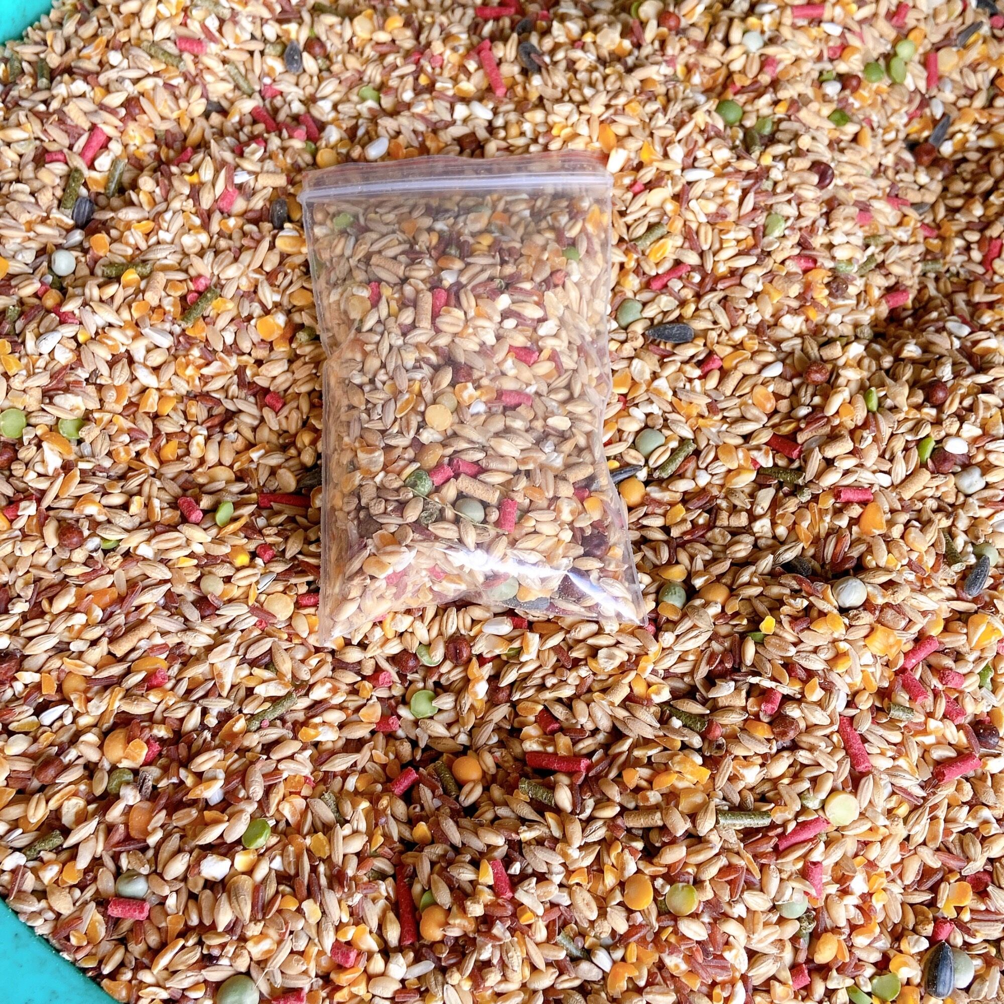 Ngũ cốc gà đá, thức ăn chiến kê gồm 12 loại túi 1kg