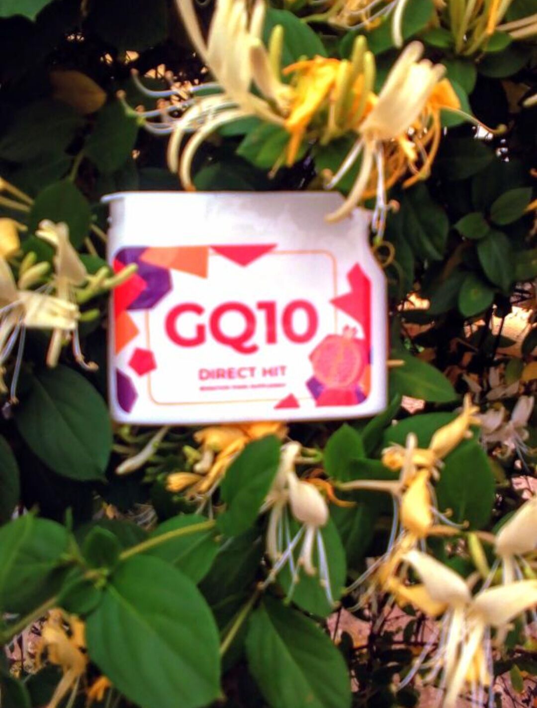 🎗️shop ngọc nhi 🎗️gq10 - direct hit- công thức thanh xuân hôp 60 viên hàng chính hãng
