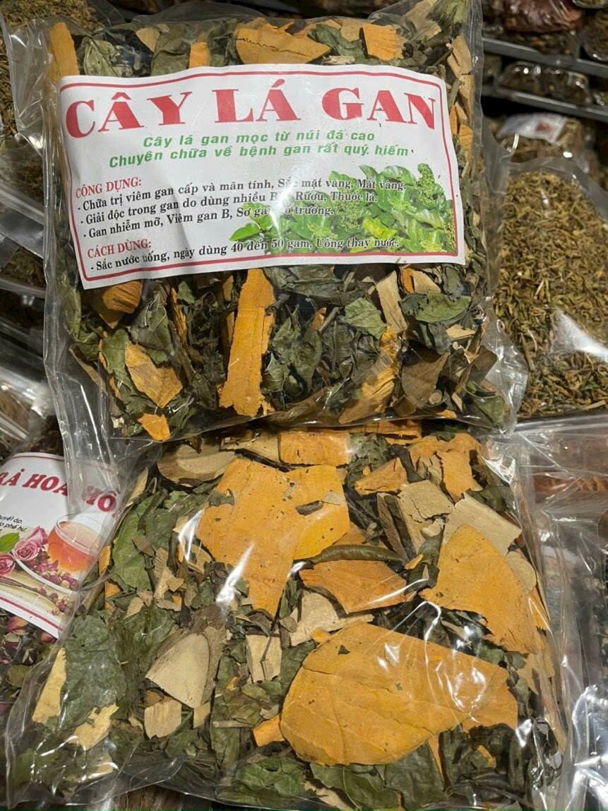 cây lá gan