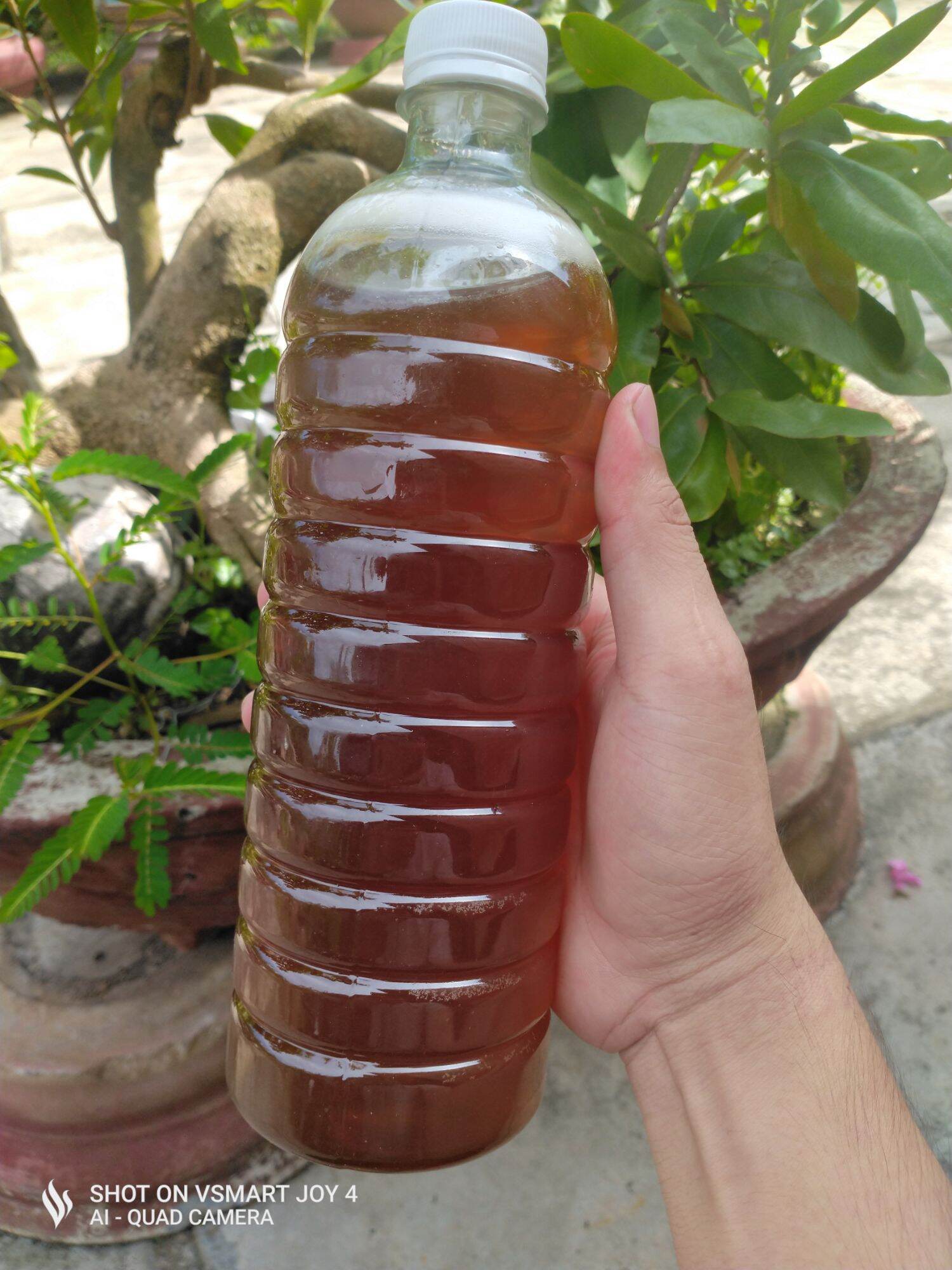 Mật ong rừng