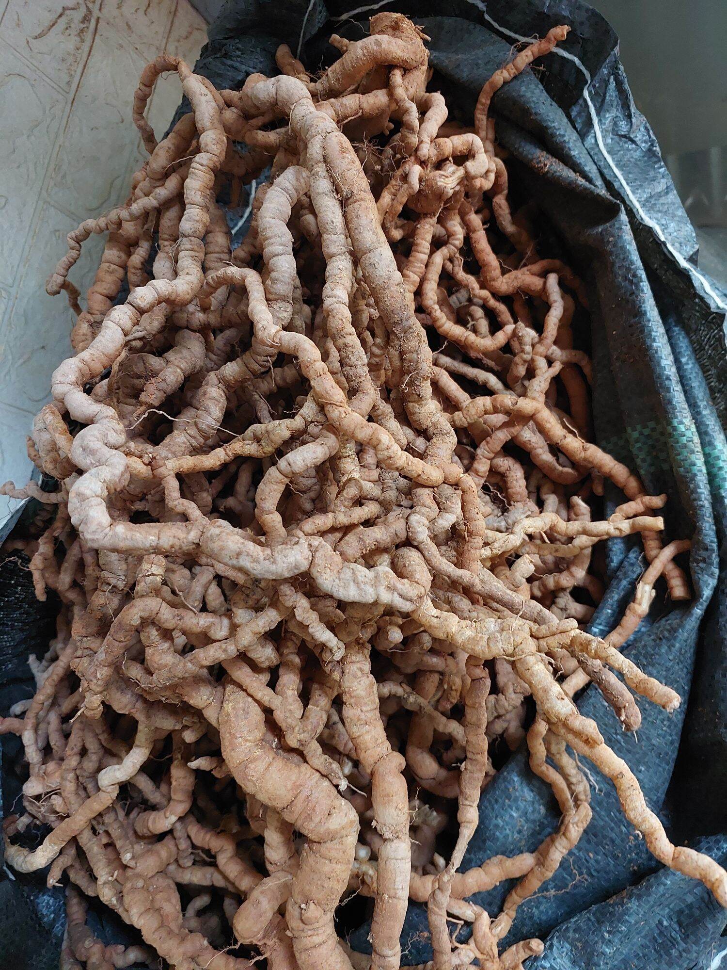 1KG BA KÍCH TÍM QUẢNG NINH