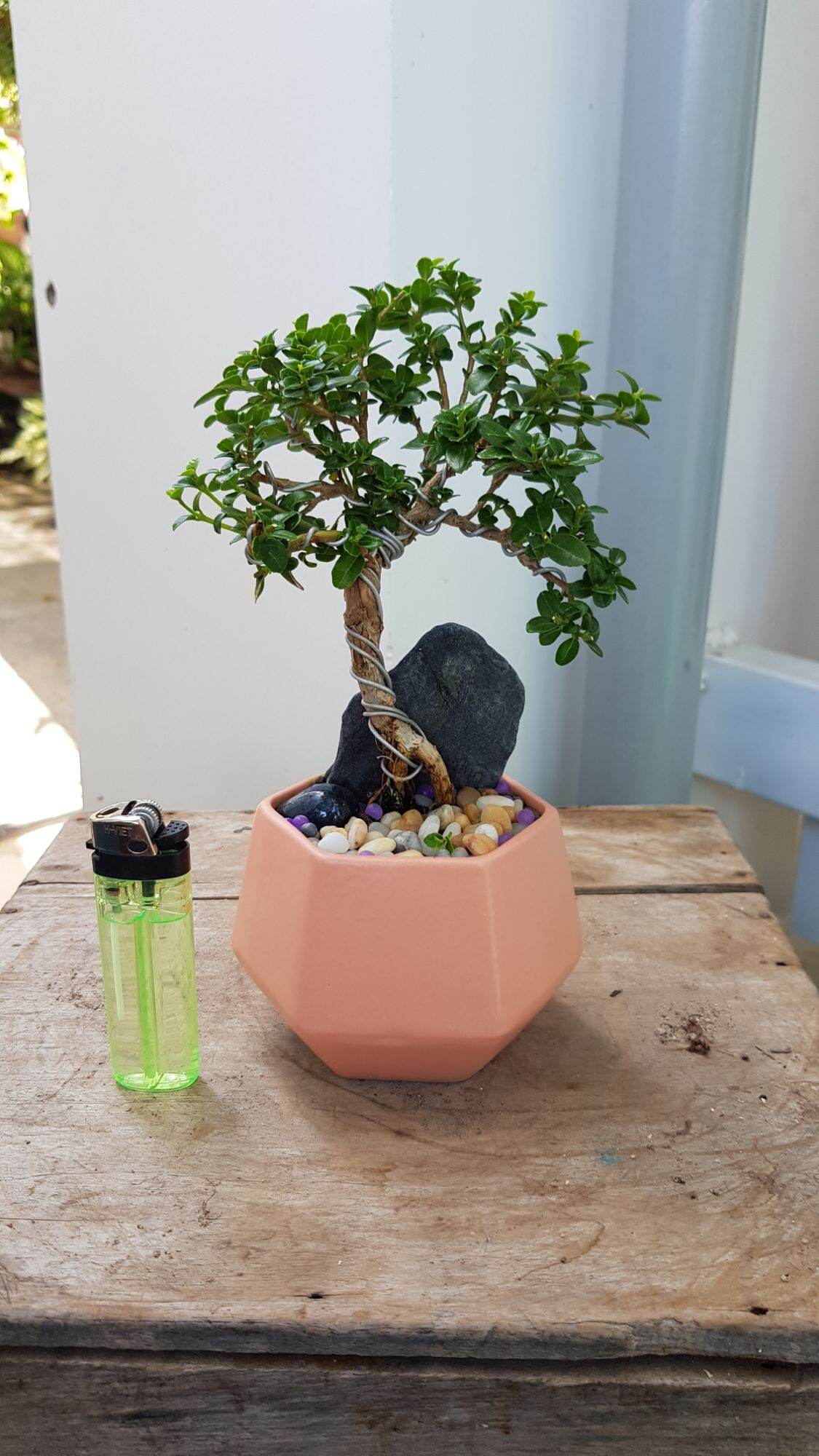 Sam Hương Siêu Mini tàn mịn