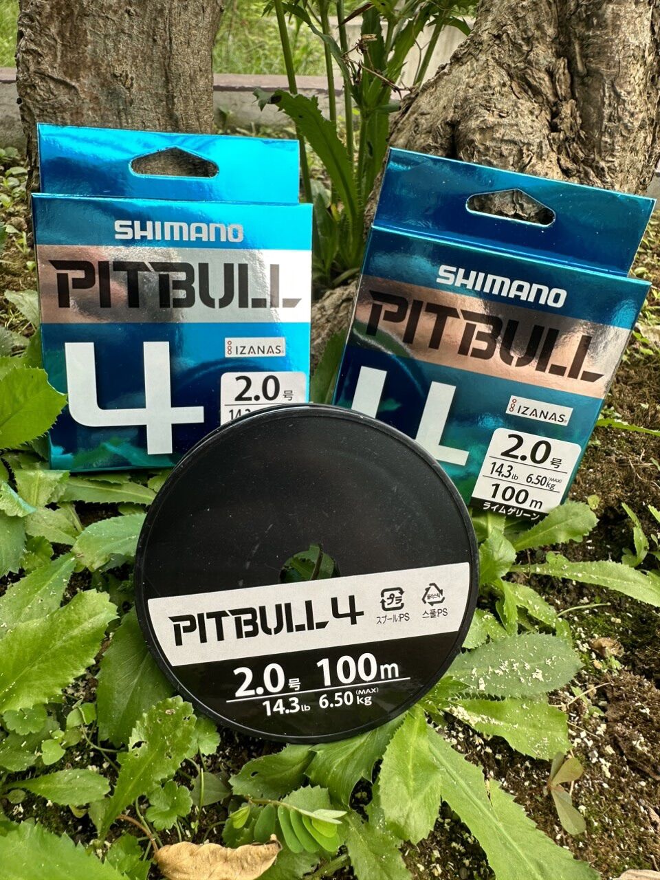 Dây Dù Câu Cá PE SHIMANO  ( PILLBULL ) X4 -JAPAN 100m