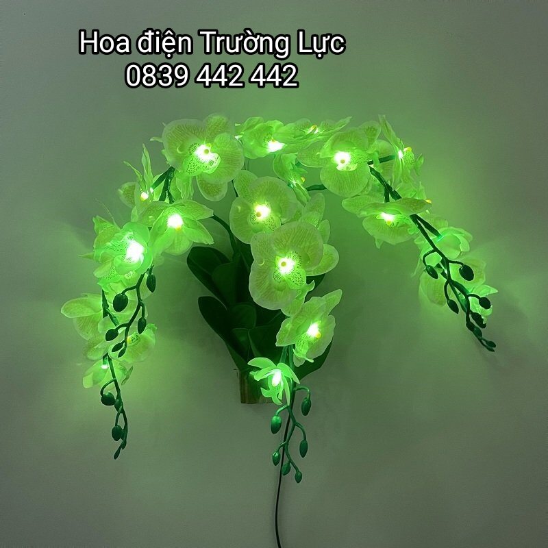 Hoa Lan Treo Tường - Hoa Trang Trí Có Đèn