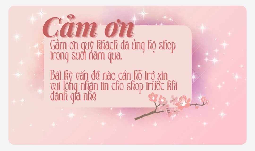 Vỏ ốc biển gai trắng.OMH Biên Hòa
