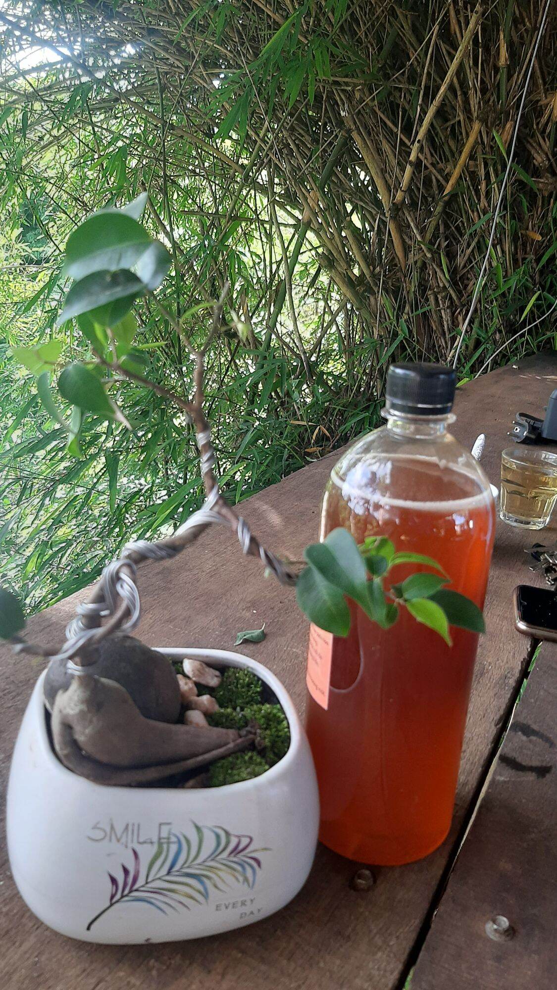 500ml mật ong rừng tự nhiên