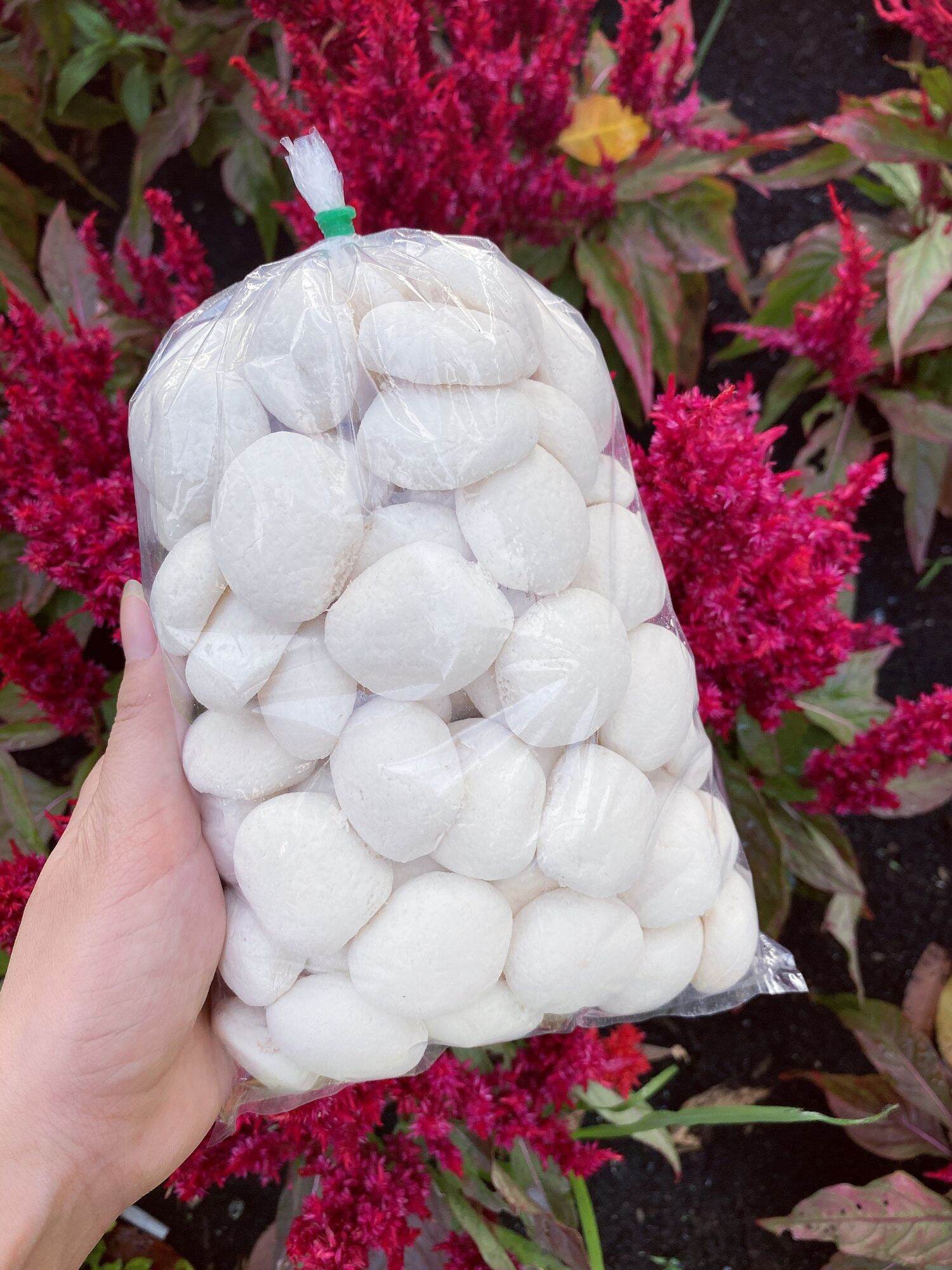 5 BỊCH 65 CÁI BÁNH BAO TUỔI THƠ MINI