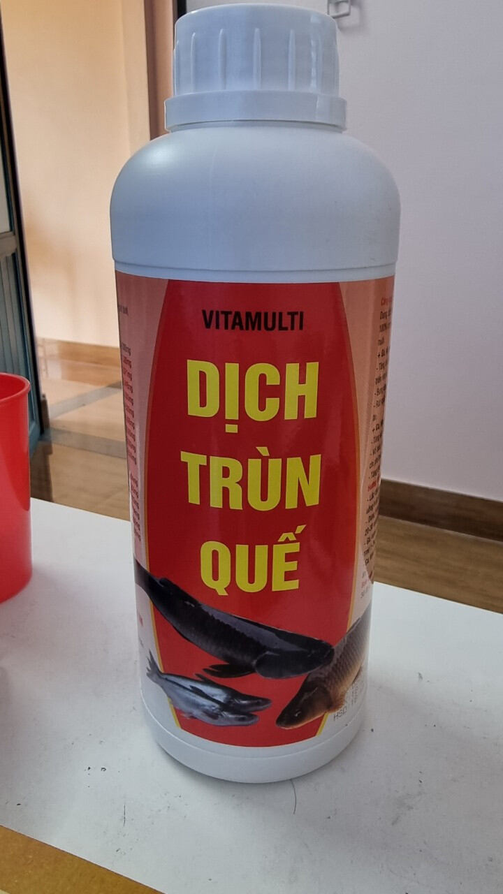 Dịch trùn quế đặc biệt