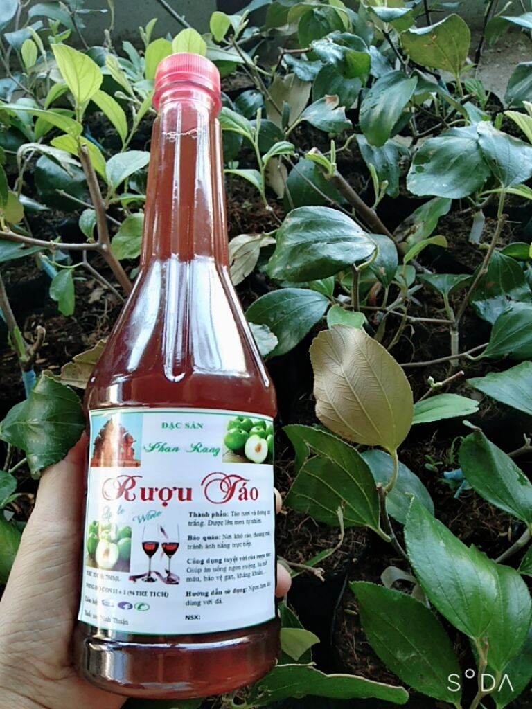 1chai Nước Táo Lên Men Phan Rang 750ml