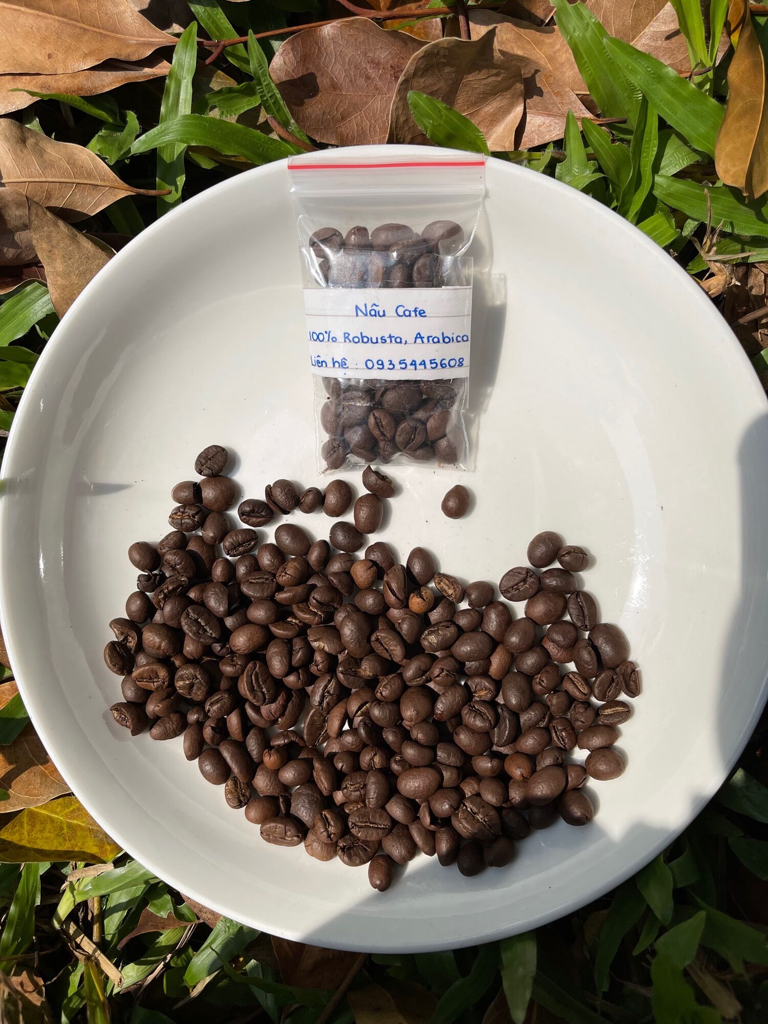Cà phê Dak Lak rang mộc nguyên chất 100%