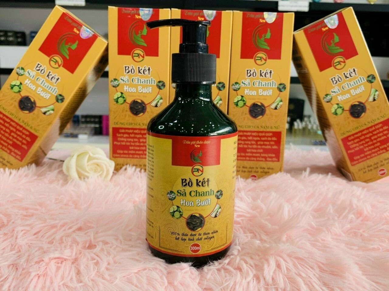 Gội bồ kết xã chanh