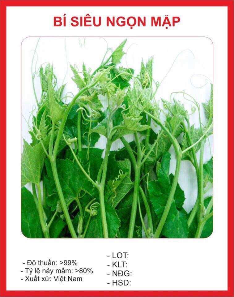 Hạt giống Bí Siêu Ngọn 10gram