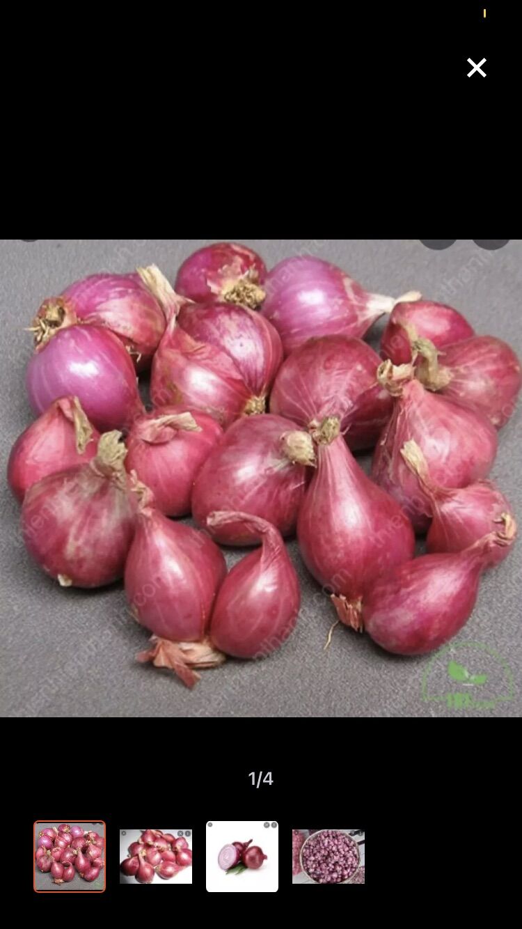 1kg củ hành tím