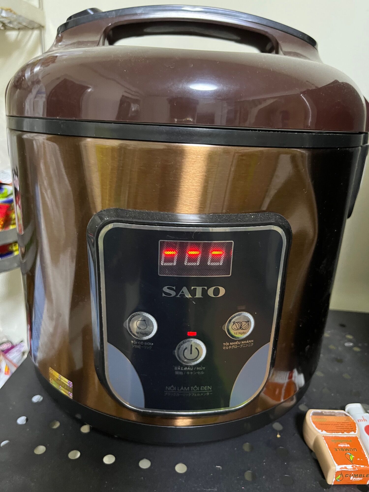 Tỏi đen cô đơn 100gr nhà làm