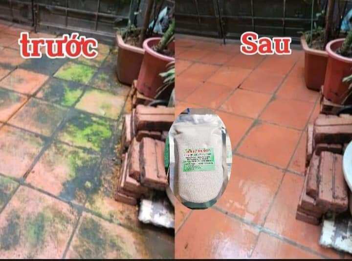Bột tẩy rong trên nền xi măng