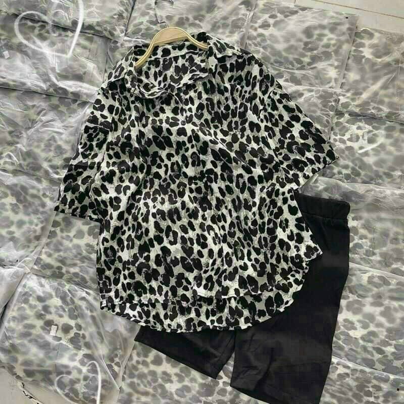 Set kiểu quần ngố sơ mi đốm