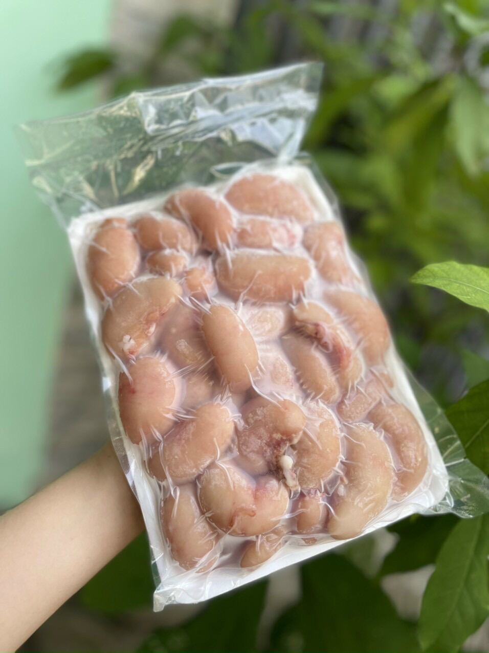 Ngọc kê gà 1kg net 8 giao tphcm