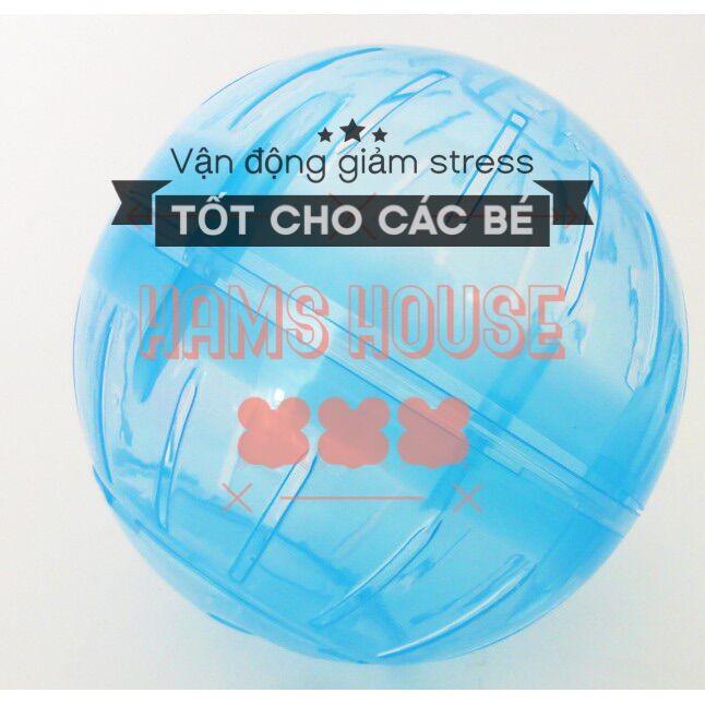 Banh chạy cho hamster
