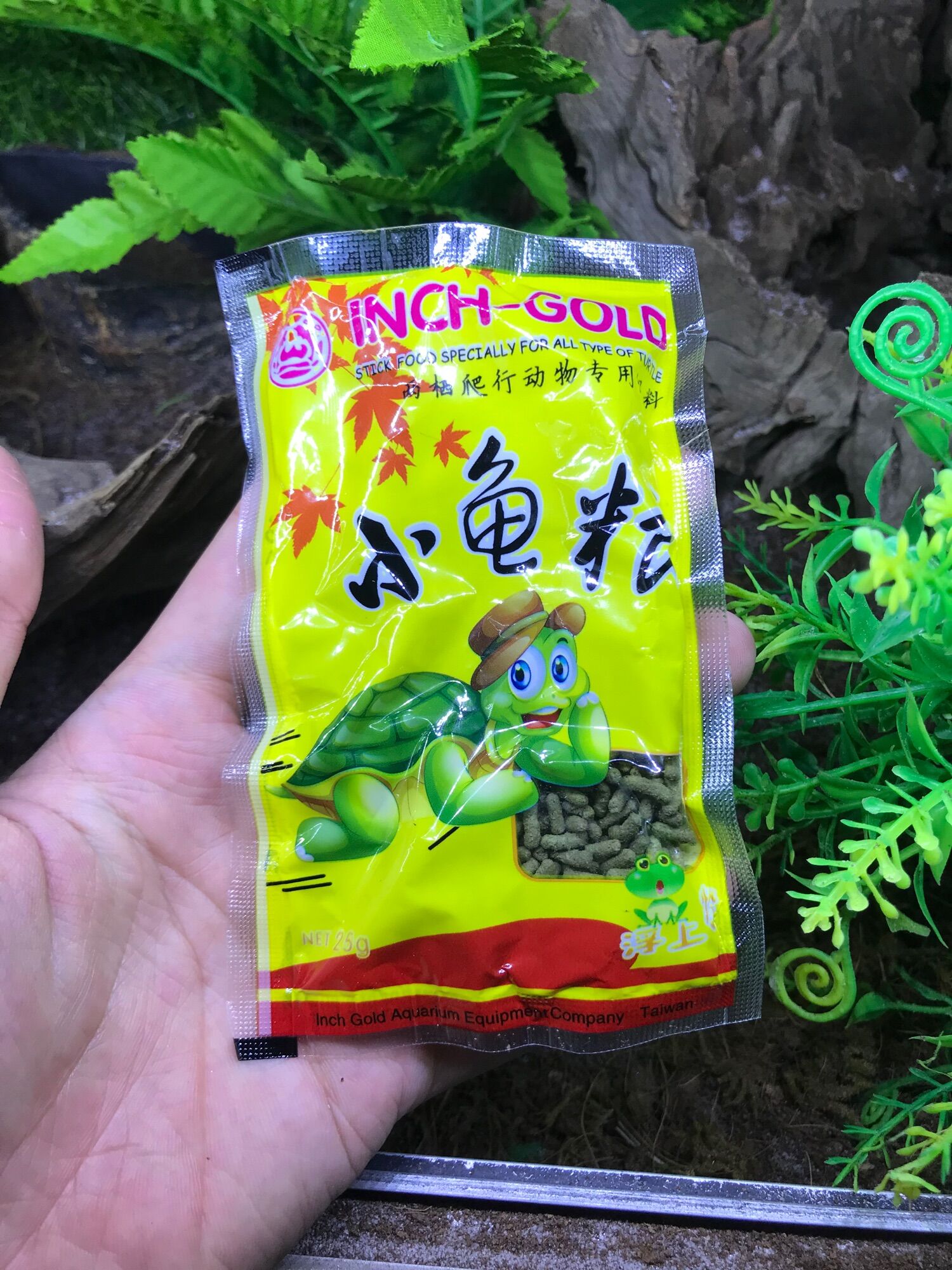 Cám nhỏ cho rùa và ốc mượn hồn