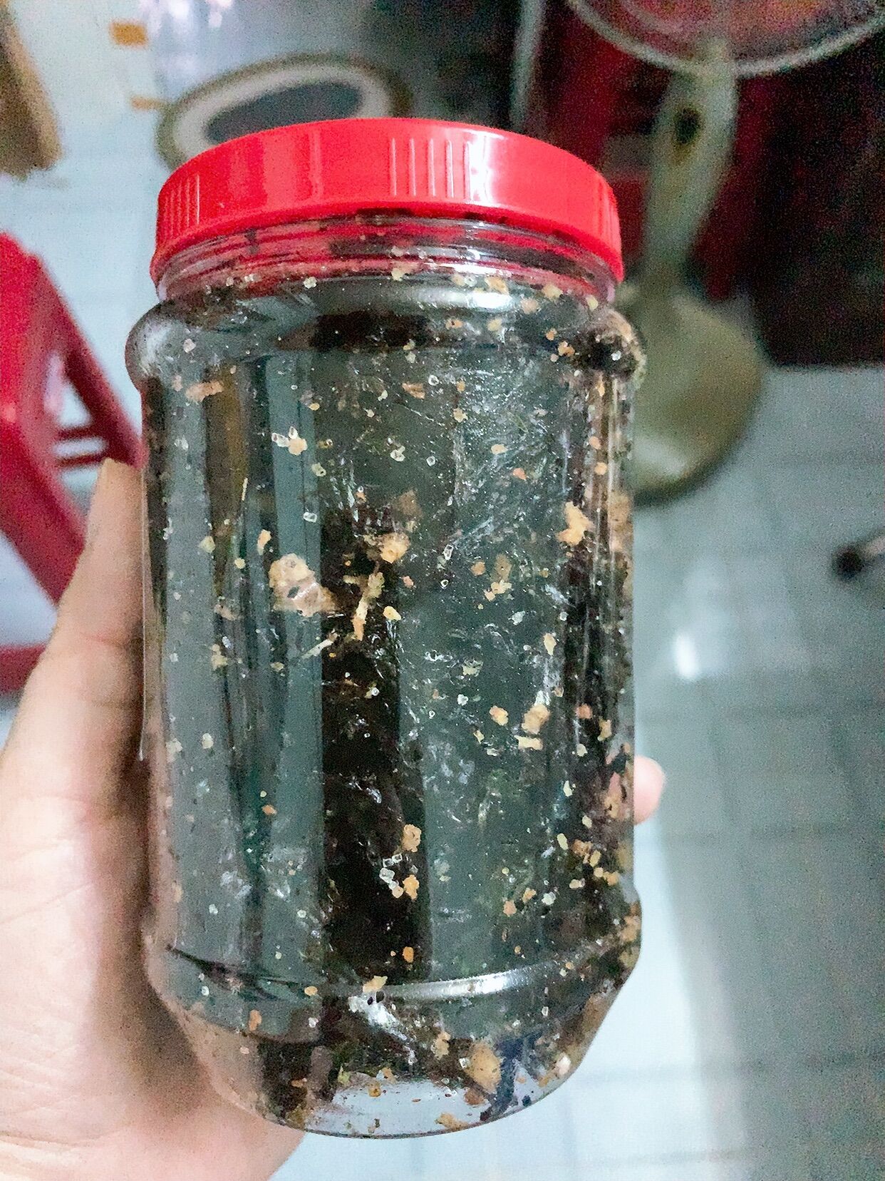 Rong biển cháy tỏi thơm ngon dễ ăn hủ 60g