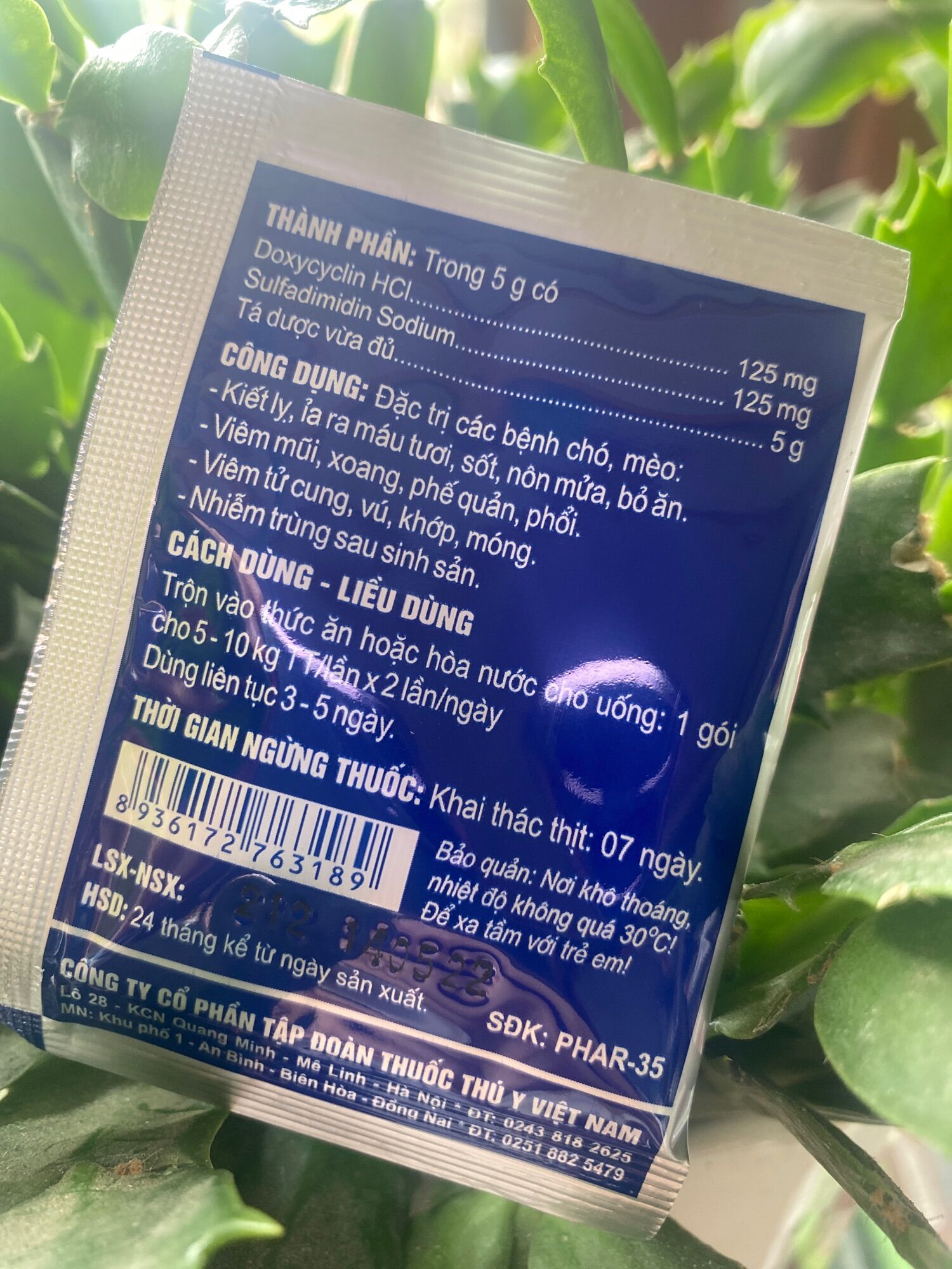 5 gói Kháng sinh chó mèo 5g