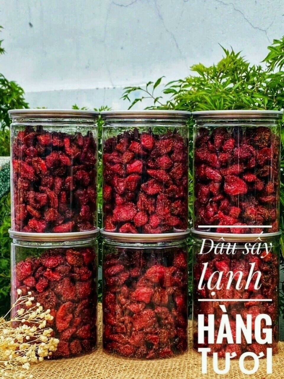 Dâu tây sấy dẻo ngon quên Sầu