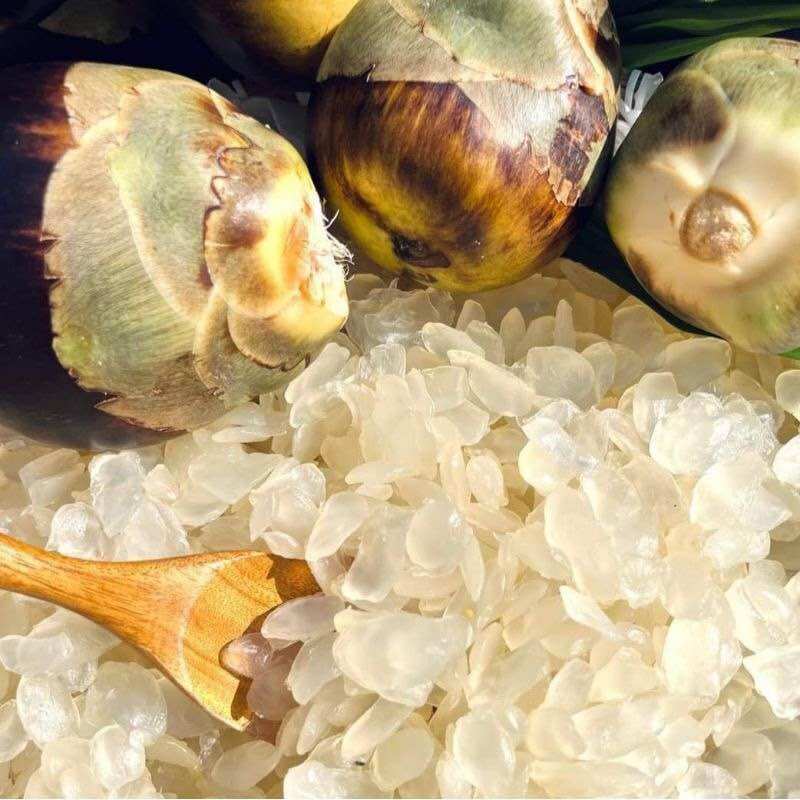 Thốt nốt sấy dẻo hũ 450G