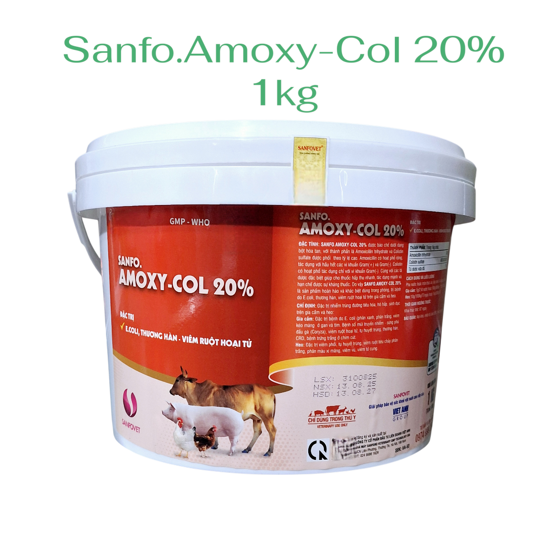 Sanfo.Amoxy-Col 20% 1kg Hỗ trợ đường ruột khỏe mạnh trên vật nuôi