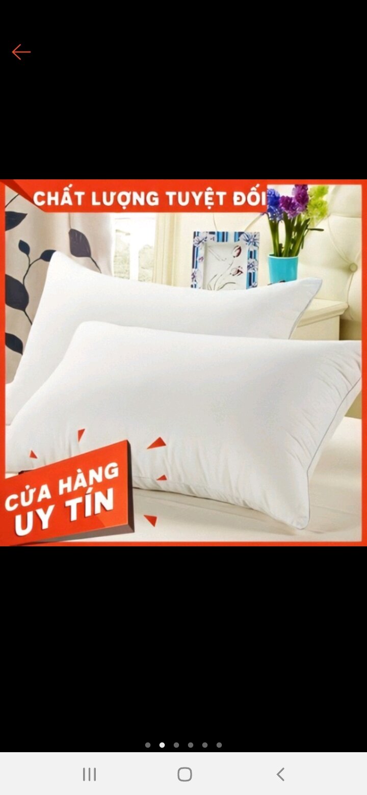 Goi hoi cao cấp 40x60